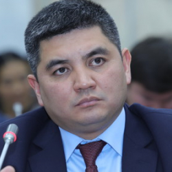 Депутат жаңы министрлик түзүүнү сунуштады