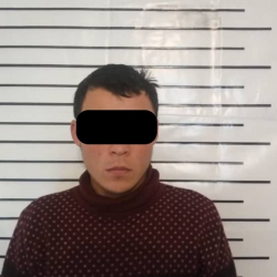 74 жаштагы карыянын малын уурдаган 20 жаштагы жигит кармалды