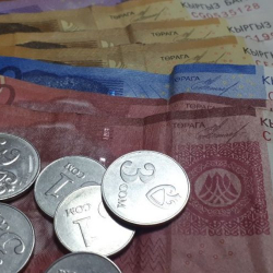 Депутат: «Ай сайын берилүүчү жөлөк пулду көбөйтүү керек»