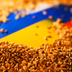 ВИДЕО – Дайджест последних новостей, связанных с войной в Украине. Утро 31 окт 2022