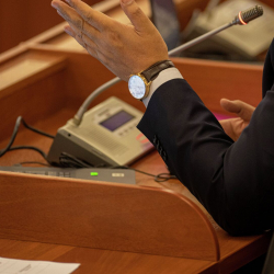 Грузия парламентинин депутатынын жансыз денеси өз үйүнөн табылды