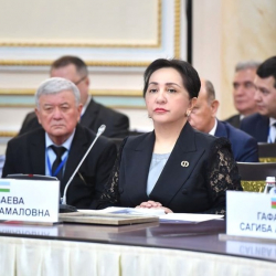 Өзбекстанда парламент төрайымынын Матвиенконун алдында айткан сөздөрү сынга алынды
