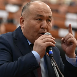 Женишбек Токторбаев: Я предлагаю с одного барана взимать налог по 100 сомов в год