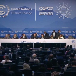 Дүйнө жүзүндө климаттын өзгөрүшүнө байланыштуу БУУнун климат боюнча саммити Египетте башталды