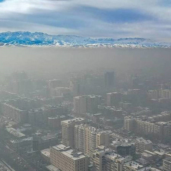 Дарика Вильданова: Ежегодно уголь наносит ущерб природе в размере $50 млрд