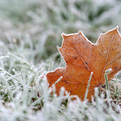 10-ноябрга карата аба ырайы