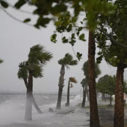Флориданын тургундары сейрек кездешүүчү Николь бороонуна даярданып жатышат