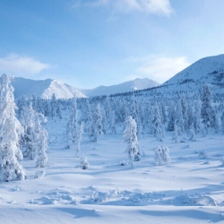 Арктикадагы муз эрип жатат: Түндүк муз океаны муз астынан чыкса эмне болот?