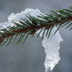 В Европе будет аномально теплая зима