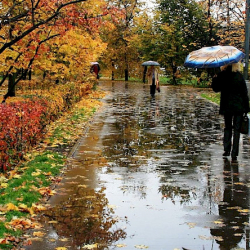 16-ноябрга карата аба ырайы