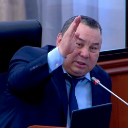 Депутат: Эмгек деген сөздүн ордуна эмчек деп жазып шерменде болуп жатабыз