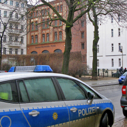 Президенттин резиденциясына ууру кирди