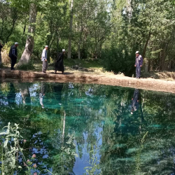 Ташиев: Чечме булагы берилген жок