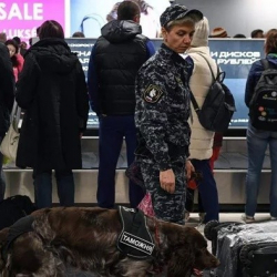 В аэропортах Москвы и Санкт-Петербурга ввели высший уровень угрозы терактов