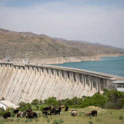ВИДЕО - Комитет по защите  Кемпир-Абада  обратится в международный суд