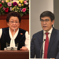 «Ордуңузду иштей турган аялдарга бериңиз». Депутат Байсаловдун дарегине сын айтты