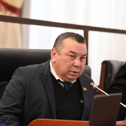 Балбак Тулобаев: Где золото прошлого года, где золото этого года?