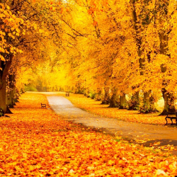 Абанын күндүзгү температурасы