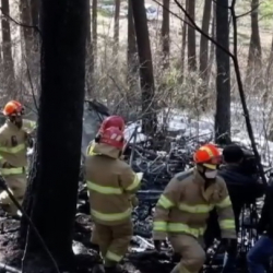 Тик учак кулап, 5 адам каза болду