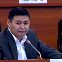 Финансылык пирамидаларды жарнамалаган адамдар мыйзам чегинде жоопкерчиликке тартылат