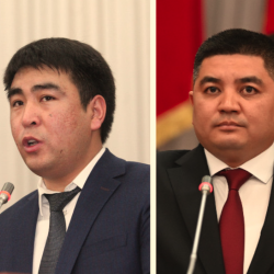 ВИДЕО - Жанар Акаев: Депутат не несет ответственности за итоги голосования и высказывания