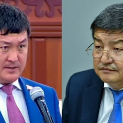 Депутат: Жапаров Японияга жөн эле саякаттабай, бир иш бүтүрө келсин