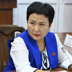 Камила Талиева: Депутаттарды суракка алуу - аша чапкандык