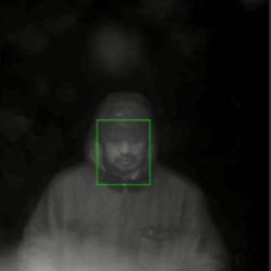 Бишкекте адам өлтүргөн жаран камералардын жардамы менен кармалды