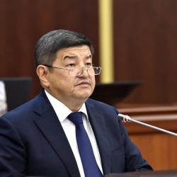 Жапаров Фани аттуу жаран тууралуу: «Чет элдин жараны кантип «указание» берет экенин сурайм»