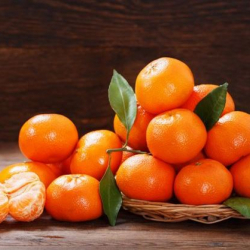 Мандариндин бышканын кантип билсе болот?