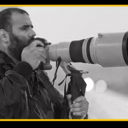 Катарда дагы бир журналист каза болду