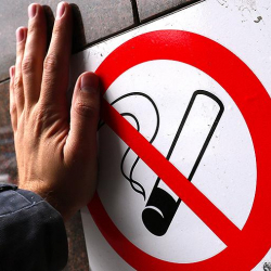 Жаңы Зеландияда 2009-жылдан кийин төрөлгөн адамдарга тамеки сатууга тыюу салынды