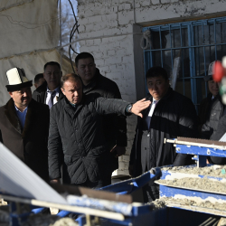 Төрага Шакиев «Кайыңды-Кант» заводунун ишмердүүлүгү менен таанышты