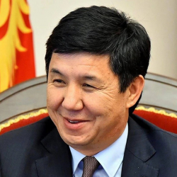 Темир Сариев жаңы кызматка дайындалды