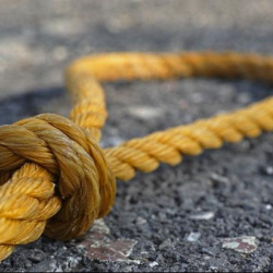 Таласта өспүрүм асынып алган жеринен табылды