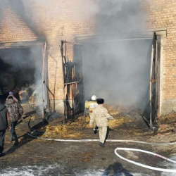 СҮРӨТ - Ысык-Көлдө 5 тонна картошка күйүп кетти