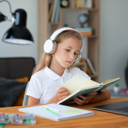 Бишкектеги мектептерде онлайн-окутуунун мөөнөтү узартылды