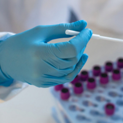 Власти США заявили о росте заболеваемости новым подвидом омикрона