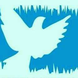 Опрос по проблемам применения насилия со стороны правоохранителей