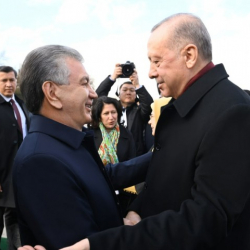 Өзбекстан менен Түркия ортосундагы маанилүү документти өзбек сенаты жактырды