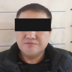 ВИДЕО - Милиция задержала сбившего пешехода 