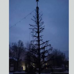 Инцидент в Майлуу-Суу. Женщина сожгла елку на городской площади