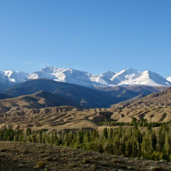 Ысык-Көлдө жоголгон кытайлык жаран 1 айдан бери изделүүдө