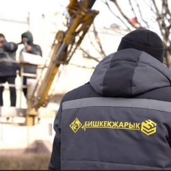 Жарык жокпу, чал!