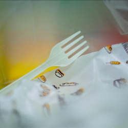 Улуу Британияда желим идиш-аяк сыяктуу бир жолу колдонулуучу буюмдарга тыюу салынат