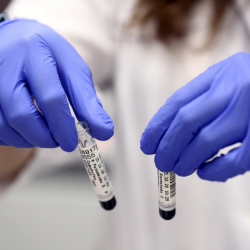 Коронавирустун жаңы түрү аныкталды