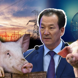 Бактылуу чочконун мурдунан бок кетпейт болгон Бакыт Аманбаев...