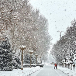 26-январга карата аба ырайы