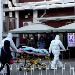 ВОЗ: Смертность от коронавируса в мире за месяц выросла на 13%