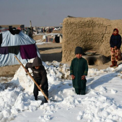 Жаш балдар да бар. Афганистанда аномалдуу суук 170 адамдын өмүрүн алды